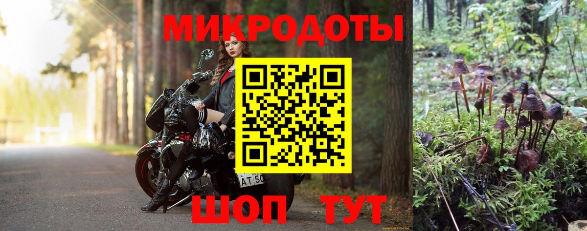 Галлюциногенные грибы Psilocybe Новочебоксарск